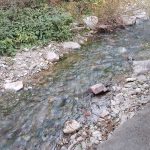 زمین و باغ در آهار