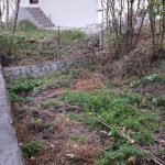 زمین و باغ در آهار