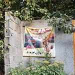 عسل ارگانیگ و طبیعی آهار، هزار گرم